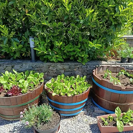 N&m Apartmán *